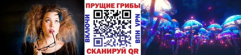 Псилоцибиновые грибы GOLDEN TEACHER  сколько стоит  darknet Telegram  Ярцево 